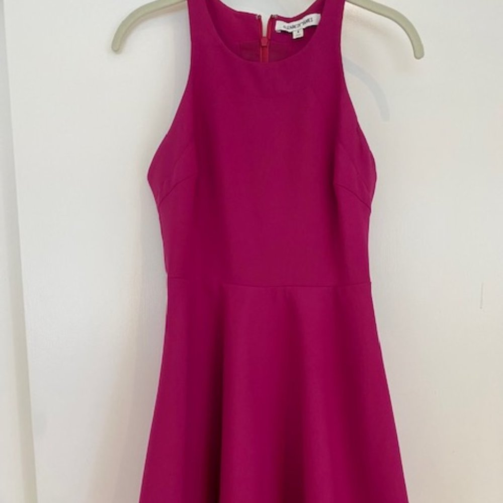 Elizabeth and James A-Line Dress